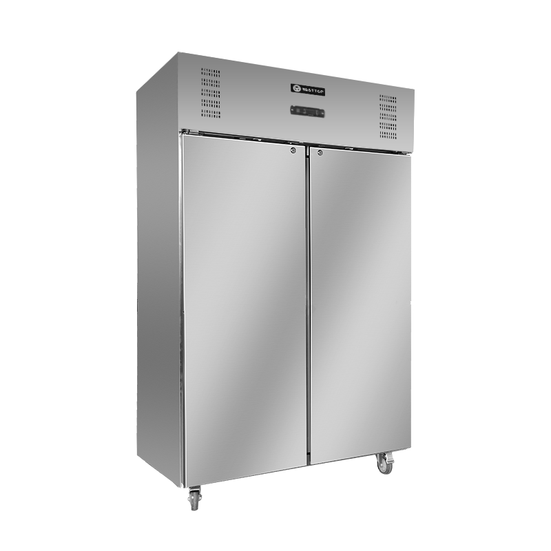 Besttop Double Door Upright Freezer CFT48-2